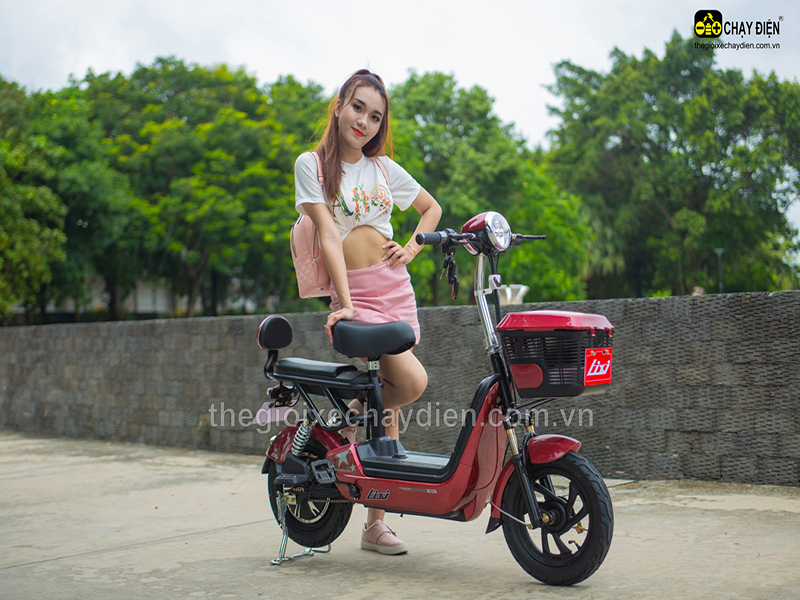 Ắc quy xe đạp điện Lixi Phạm Văn Thuận