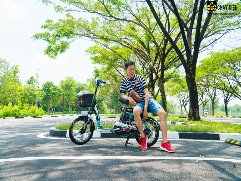 Ắc quy xe đạp điện Nijia Đà Nẵng