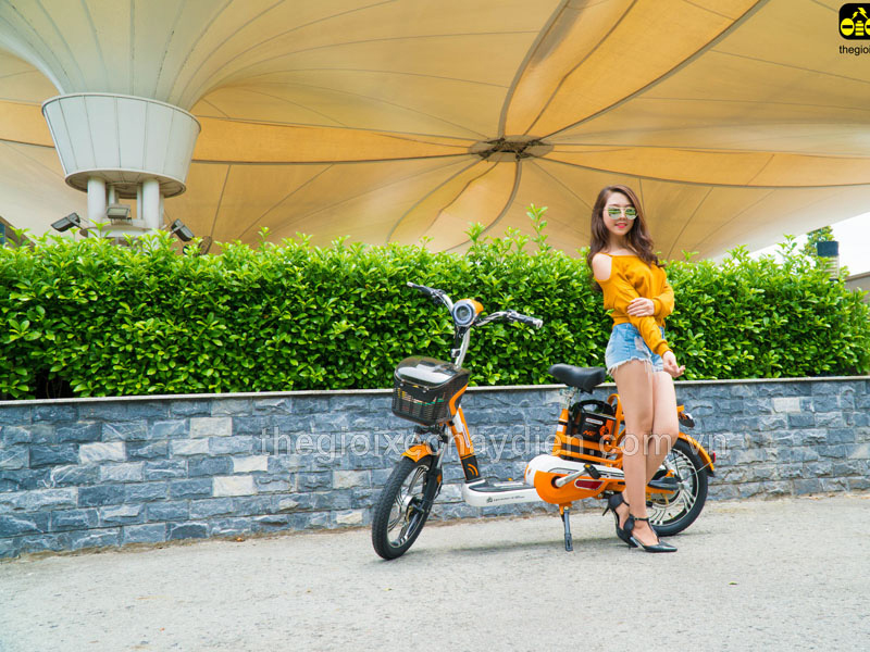 Ắc quy xe đạp điện Nijia Kon Tum