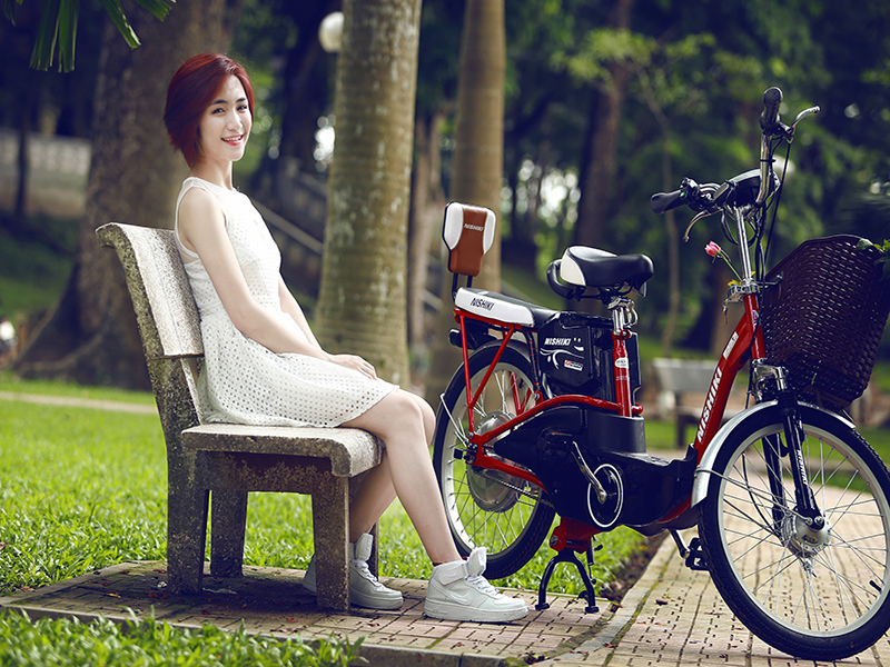 Ắc quy xe đạp điện Nishiki Bình Chánh