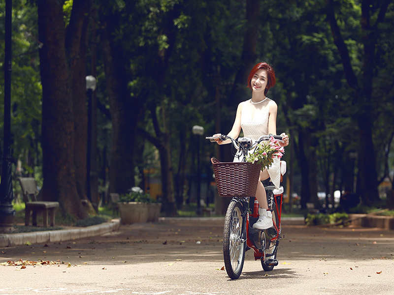 Ắc quy xe đạp điện Nishiki Tân Phú