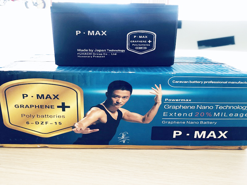 Ắc quy xe đạp điện Pega Dak Lak 