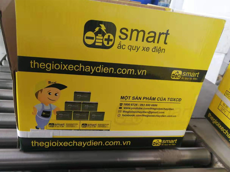Ắc quy xe đạp điện Smart - sản phẩm mới của Thế Giới Xe Chạy Điện