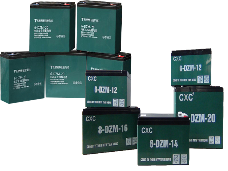 Ắc quy xe đạp điện Suzika Ninh Thuận