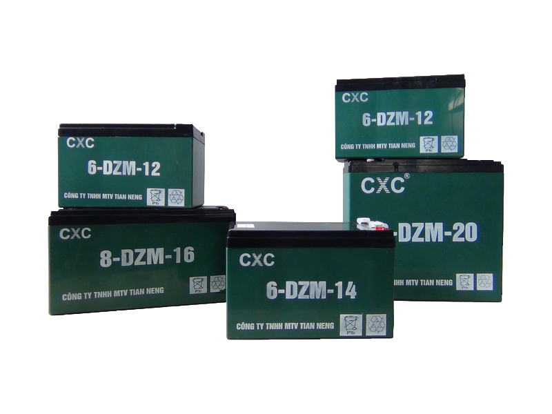 Ắc quy xe đạp điện Suzika Vũng Tàu