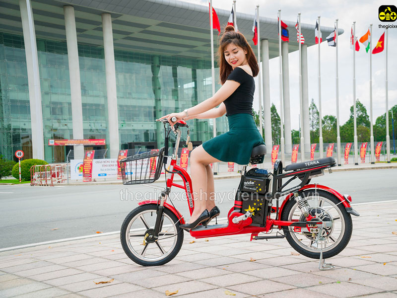 Ắc quy xe đạp điện Terra Motors Bạc Liêu