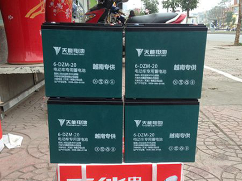 Ắc quy xe đạp điện Terra Motors Bình Phước