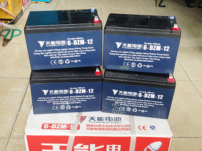 Ắc quy xe đạp điện Terra Motors Dak Lak