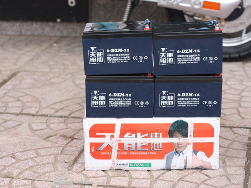 Ắc quy xe đạp điện Terra Motors Lâm Đồng