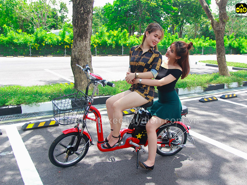 Ắc quy xe đạp điện Terra Motors Quảng Trị 