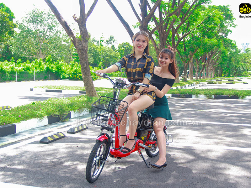 Ắc quy xe đạp điện Terra Motors Sóc Trăng