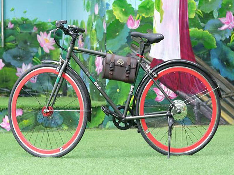 Ắc quy xe đạp điện Trợ Lực Bình Tân