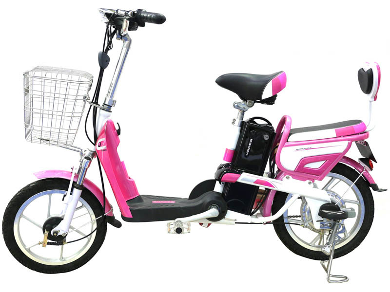 Ắc quy xe đạp điện Yadea Bình Phước