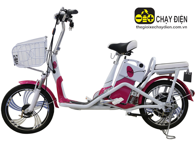 Ắc quy xe đạp điện Yadea Đà Nẵng