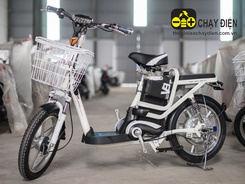 Ắc quy xe đạp điện Yadea Tây Hồ