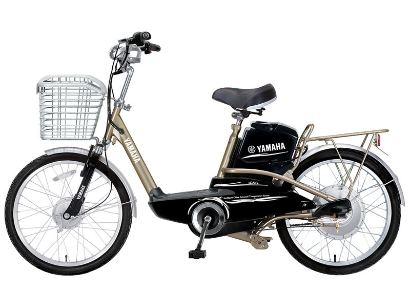 Ắc quy xe đạp điện Yamaha Bạc Liêu