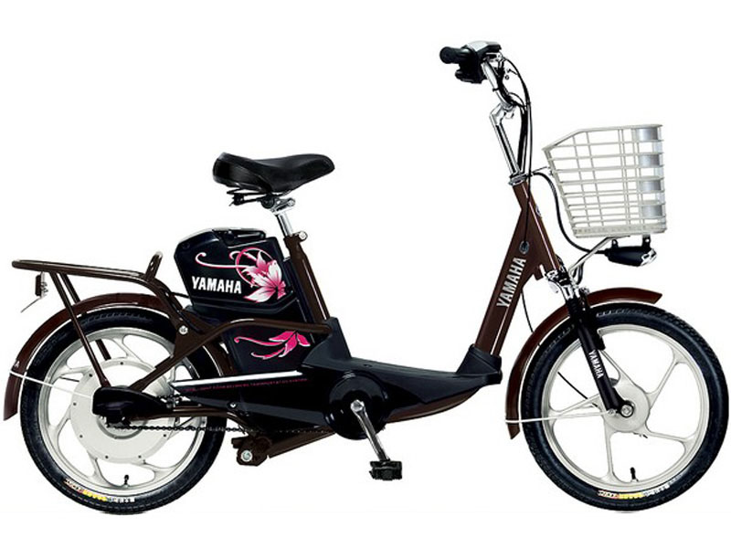 Ắc quy xe đạp điện Yamaha Huế