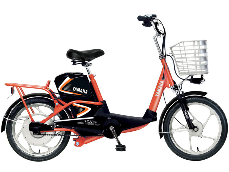 Ắc quy xe đạp điện Yamaha Quảng Ngãi