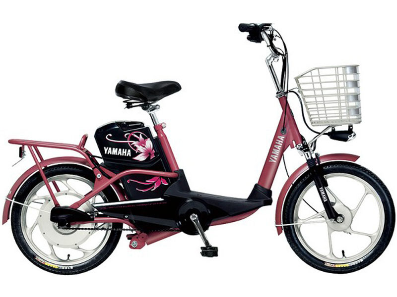 Ắc quy xe đạp điện Yamaha Sóc Trăng