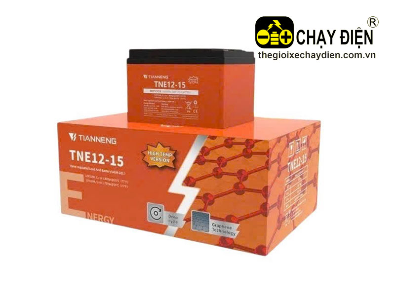 Ắc quy xe điện TNE12-15