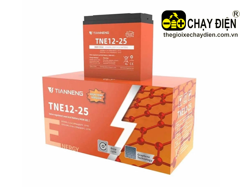 Ắc quy xe điện TNE12-25