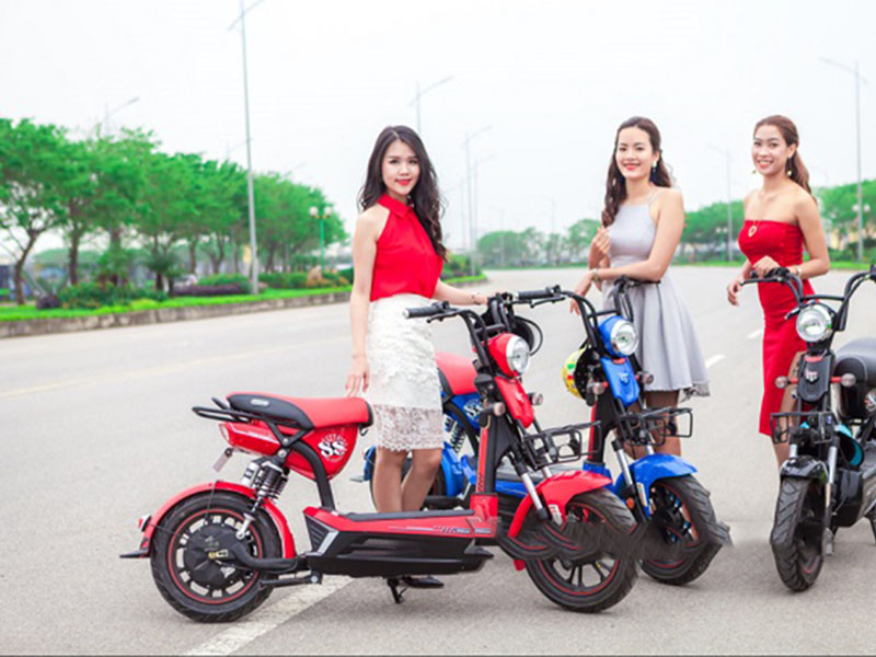 Ắc quy xe máy điện Dibao 133SS