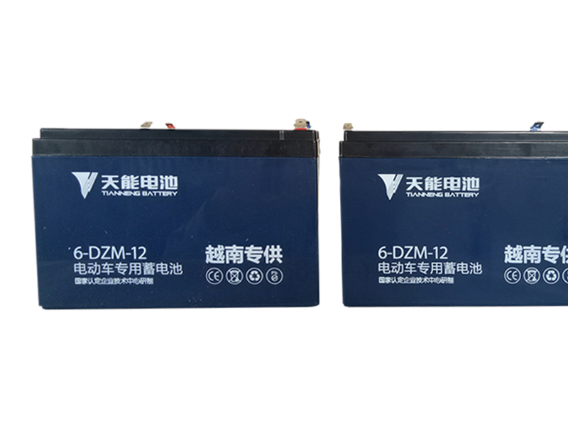 Ắc quy xe máy điện Giant 133DS