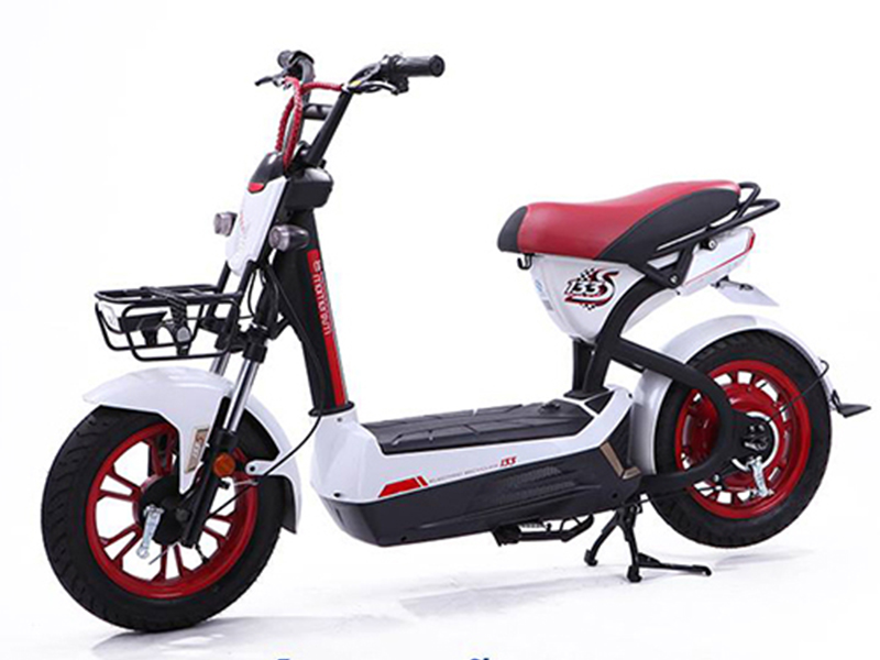 Ắc quy xe máy điện Giant M133-S