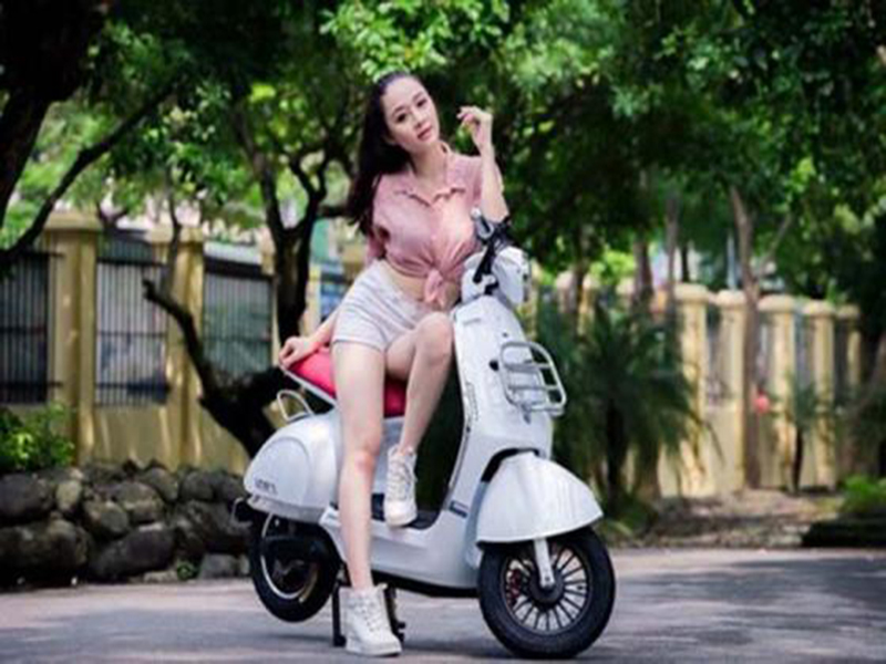 Ắc Quy xe máy điện hãng Ecobike