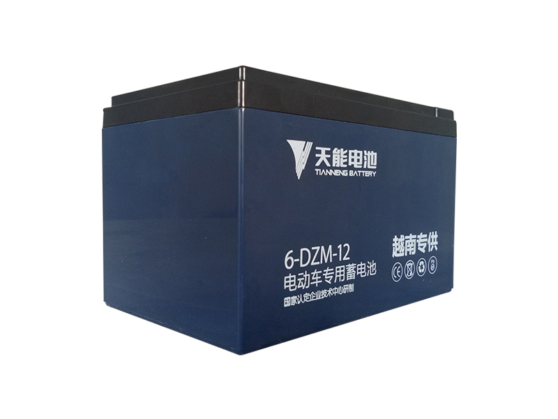 Ắc quy xe máy điện hãng Giant 133DS