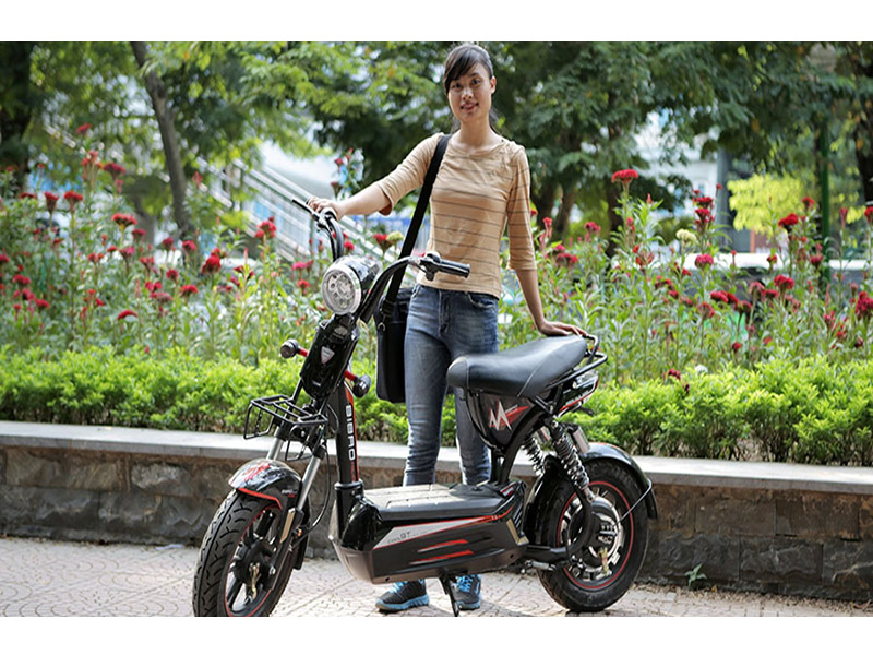 Ắc quy xe máy điện Milo M133
