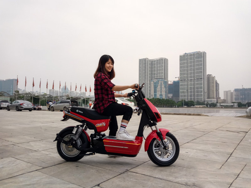 Ắc quy xe máy điện Pega Crazybull2