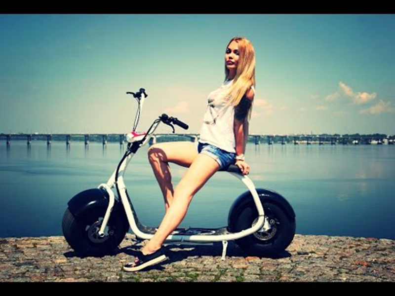 Ắc quy xe máy điện Suzika D1