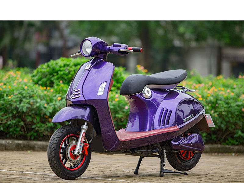 Ắc quy xe máy điện Viper 913