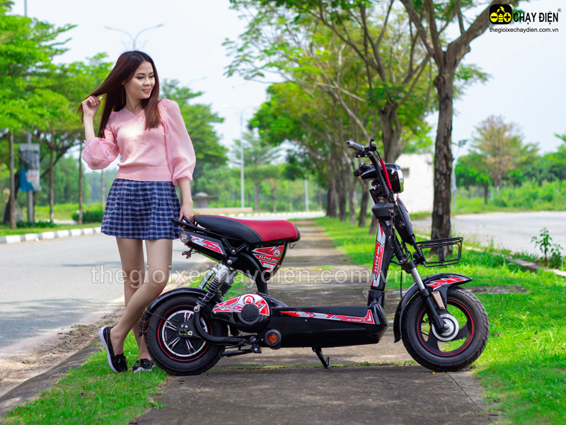 Alpha M133 12A – chiếc xe đạp điện “vạn người mê”