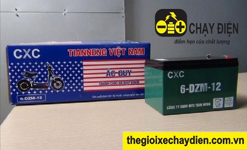 Bán buôn acquy xe đạp điện quận 5