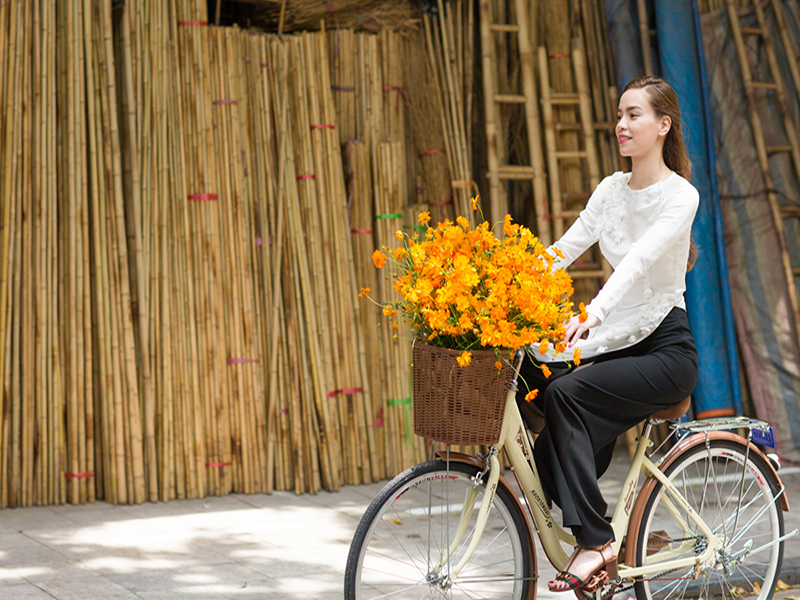 Bán xe đạp tại Bắc Cạn