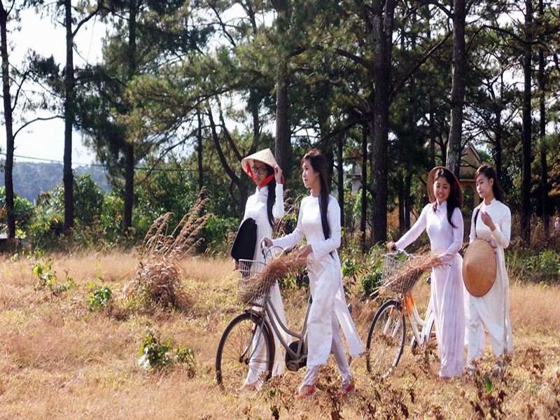 Bán xe đạp tại Hà Giang