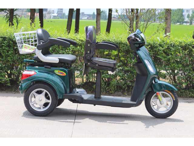 Bán xe điện 3 bánh 2 chỗ ngồi tại Bình Định