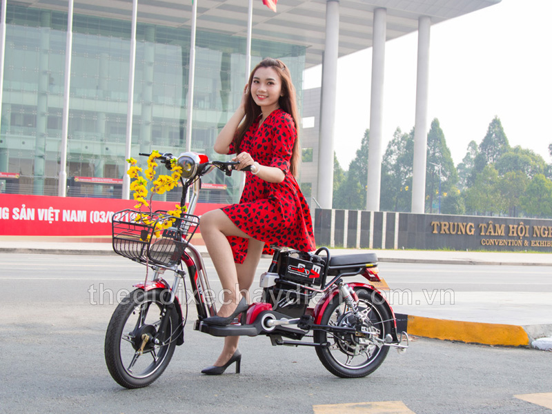 Bảng giá các xe đạp điện EV