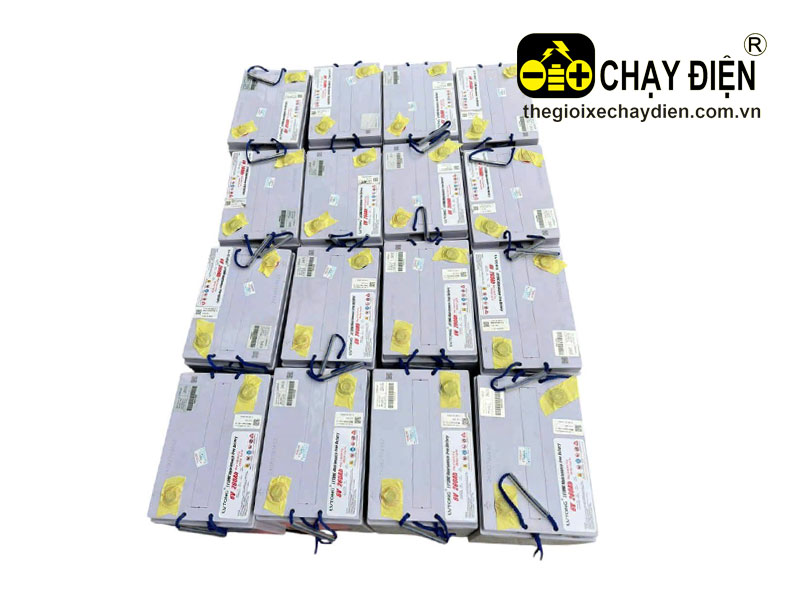 Bình ắc quy xe điện chở khách LVTONG 6V 260AH
