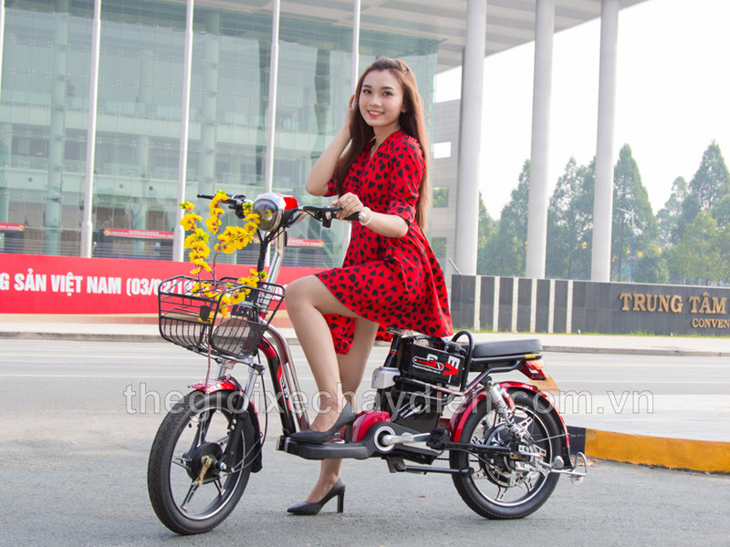 Chinh phục mọi nẻo đường cùng xe đạp điện EV S2