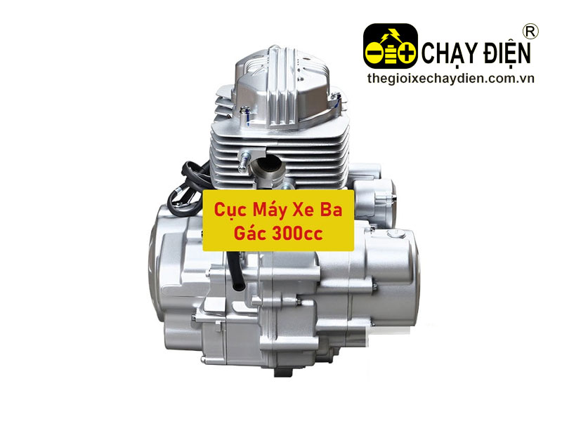 Cụm máy, động cơ xe 3 gác 300cc