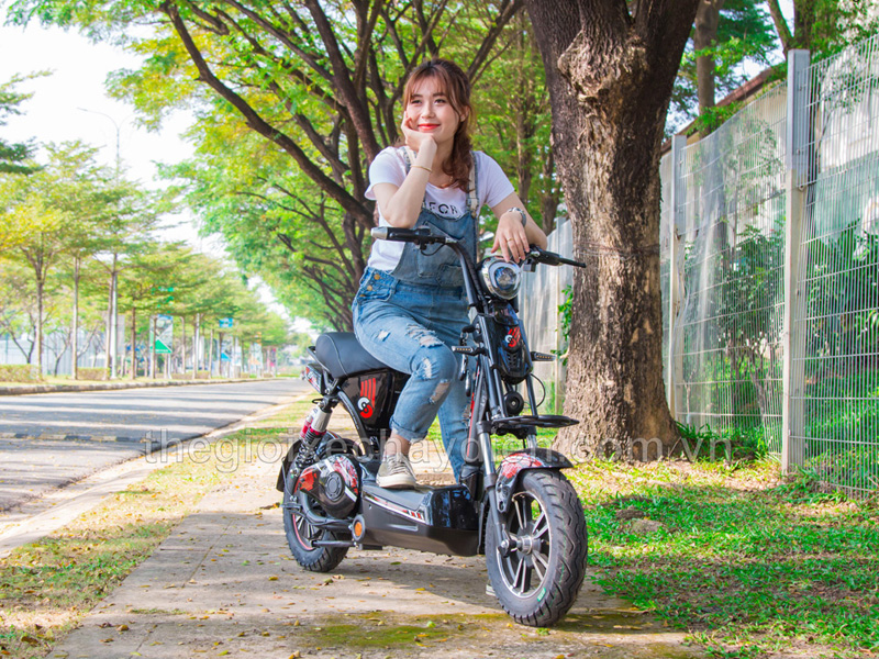 EV S8 Limited - mẫu xe đạp điện dưới 10 triệu đáng mua nhất 2021