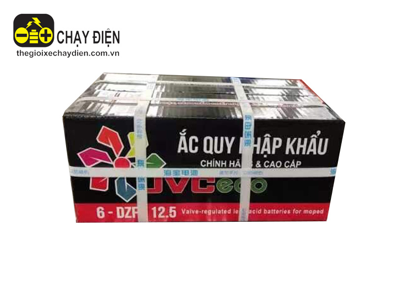 Ắc quy xe đạp điện 12v-12a Jvc