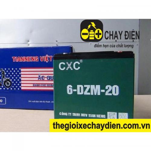 Ắc quy xe máy điện (12v - 20a)