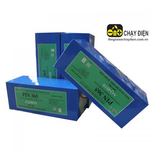 Lõi Pinlithium xe đạp điện 365 48v-10a