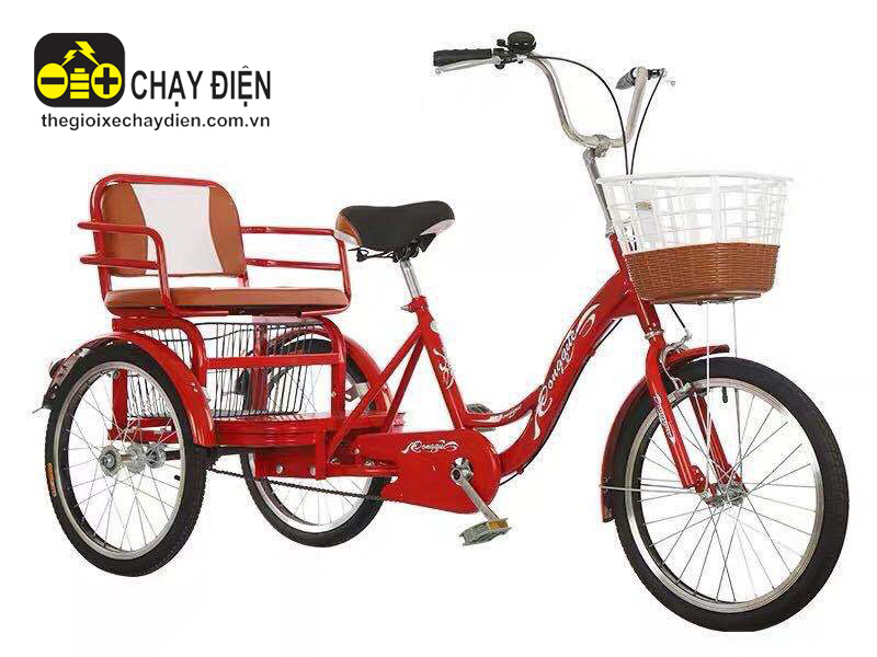 Xe đạp ba bánh chở người Vnbike B1