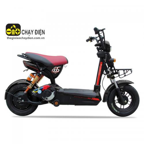 Xe đạp điện 133 Ecobike