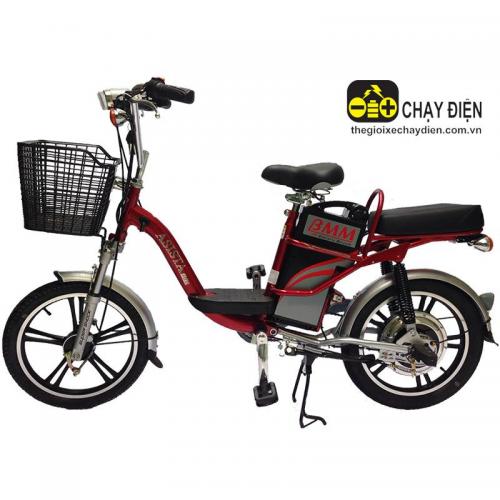 Xe đạp điện ASISTA BMM PS 18